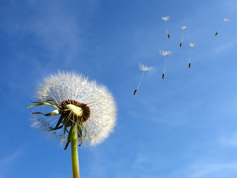 Wie der Wind weht - Wegener Center for Climate and Global Change